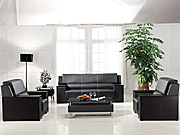 ���y(t��ng)��Ƥɳ�l(f��)CG-CTZPSF-07_�k���Ҿ�_(d��)��(j��ng)����Ƥɳ�l(f��)_�k��ɳ�l(f��)