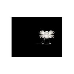 Infiore�F���������_�� CGT1111