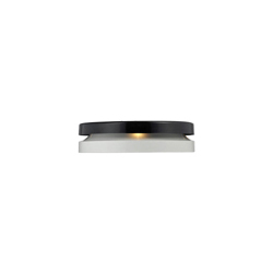 ���ư�Toric Suspension Light ���F����픟�