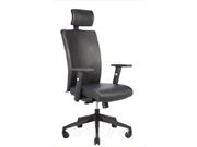 ��Ƥ����� CG-531